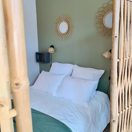 Appartamento Ile Verte Entre Chu & Vieille Grenoble